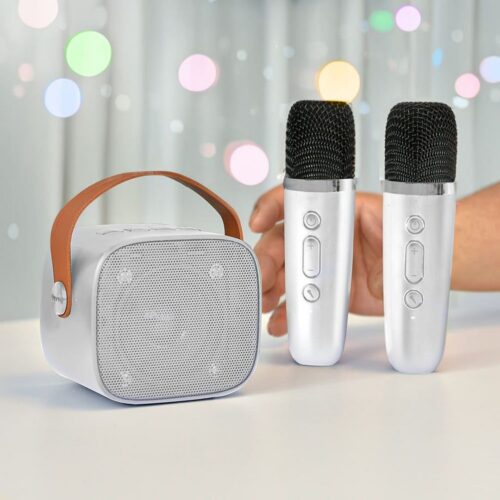 Boxa Karaoke cu 2 Microfoane